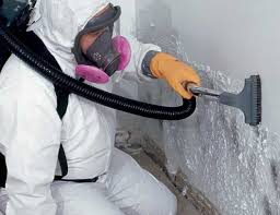 Best Air Quality Testing for Mold Spores  in Standish, MI